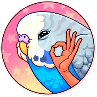 👌 pássaro, periquito, ok, gesto de mão, sinal de ok telegram sticker