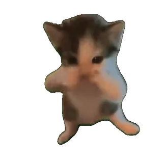 😀 cat telegram sticker