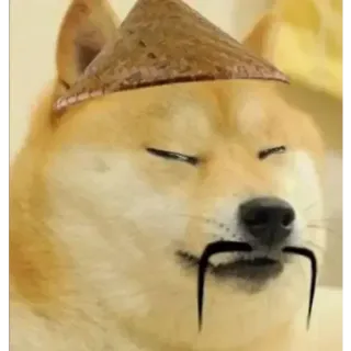 👀 doge, chó, mũ, meme, hài hước, mũ châu á telegram sticker