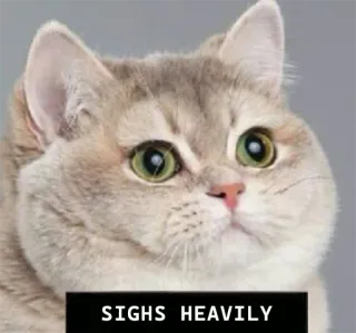 🌚 SIGHS HEAVILY Katze, seufzen, Meme, Tier, Haustier, tiefer Seufzer telegram sticker