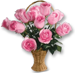 🌹 flower, roses, basket, pink, bouquet, nature, floral whatsapp sticker