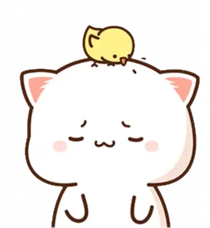 🐣 кот, цыпленок, милый, каваий, животное, наклейка telegram sticker