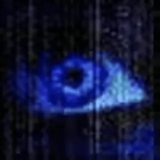 👁