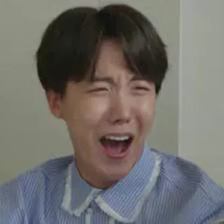 😭 personne, homme, expression faciale, émotion, portrait telegram sticker