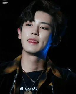 😛 kpop, exo, chanyeol, idol, singer, music telegram sticker