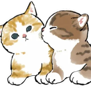 😘 gatos, gatitos, lindo, animales, animales domésticos, mascota, felino whatsapp sticker