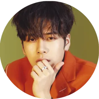 🙂 persona, hombre, retrato, cara telegram sticker