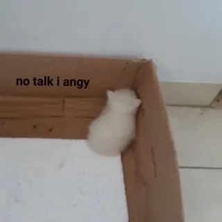 🐱 no talk i angy hamster, angry, cute, pet, animal, funny telegram sticker