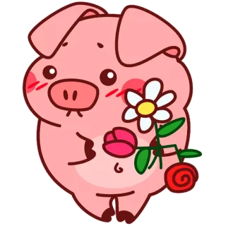 💐 babi, hewan, bunga, imut, stiker telegram sticker