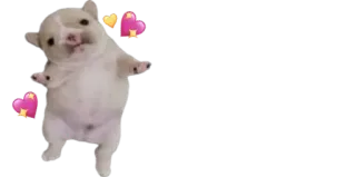 ❤️ dog, hearts, cute, puppy, love telegram sticker