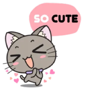 😊 SO CUTE gato, fofo, adorável, kawaii, adesivo, desenho animado, animal whatsapp sticker