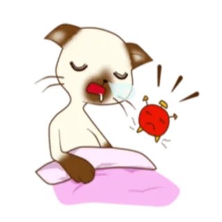 ☀️ gatto, assonnato, stanco, sveglia, cartone animato, animale whatsapp sticker