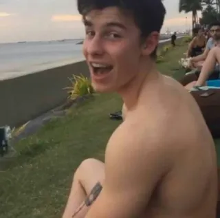 😄 Shawn Mendes singer, musician, person, celebrity, male, smile telegram sticker