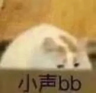 😳 小声bb kucing, meme, lucu, imut, hewan telegram sticker