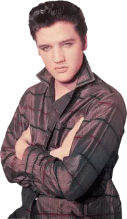 😶 Elvis Presley elvis, presley, ca sĩ, âm nhạc, rock and roll, biểu tượng telegram sticker