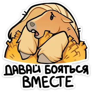 😧 Давай бояться вместе koń, zwierzę, ilustracja, naklejka, kreskówka telegram sticker