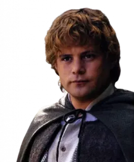 🤨 Samwise Gamgee The Lord of the Rings hobbit, samwise gamgee, the lord of the rings, jrrtolkien, movie, fantasy telegram sticker