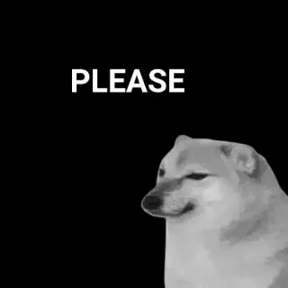 🙂 PLEASE Meme, Doge, Anjing, Lucu, Internet, Memohon whatsapp sticker