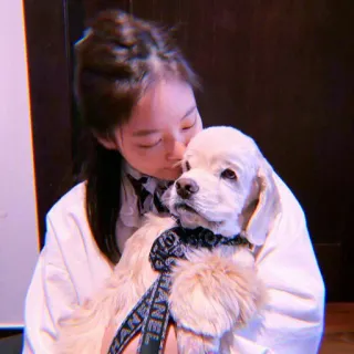 🥡 wanita, anjing, hewan peliharaan, kasih sayang, gadis, anak anjing, cocker spaniel telegram sticker