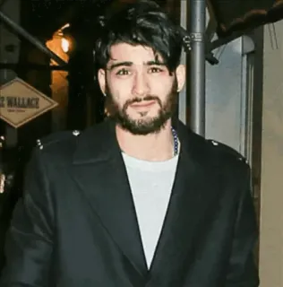 🦀 Zayn Malik 名人, 人物, 男人, 歌手, 肖像 telegram sticker