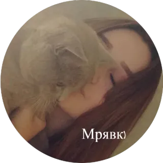 😸 Мявк) cat, woman, pet, cute, russian, gray, animal telegram sticker