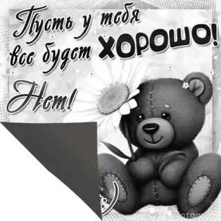 😤 Пусть у тебя все будет ХОРОШО! Нет! teddy bear, daisy, greeting, cute, positive message, negative message telegram sticker