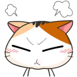 😠 猫, 怒り, かわいい, 動物, ミーム telegram sticker