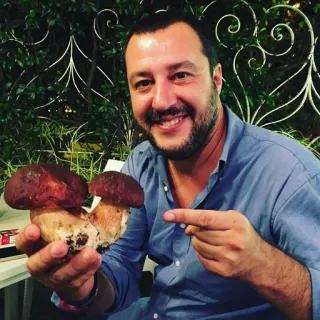 Salvini telegram stickers