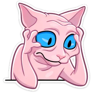 😧 кот, наклейка, сфинкс кот, мем, смешной, животное telegram sticker