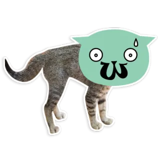 😣 Katze, Aufkleber, Tier, lustig, Meme, Cartoon telegram sticker