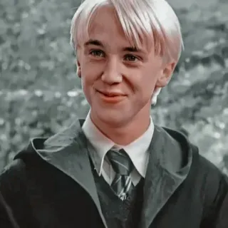 🪐 Draco Malfoy Harry Potter draco malfoy, harry potter, slytherin, bruxo, personagem telegram sticker
