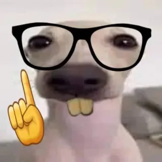 🤓 dog, glasses, emoji, finger, animals, funny, cartoon whatsapp sticker