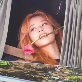 🍑 Sana Sana, K-pop, TWICE, fleur, Idole telegram sticker