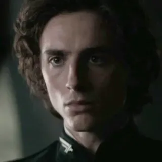 😐 Paul Atreides Dune Dune, Paul Atreides, Timothée Chalamet, science fiction, movie, character telegram sticker