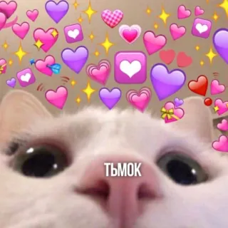😘 ТЬМОК แมว, หัวใจ, ความรัก, น่ารัก, อิโมจิ, จูบ, ความรักใคร่ telegram sticker