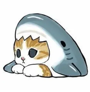 💗 kot, rekin, zwierzę, słodki, kociak, śmieszny telegram sticker