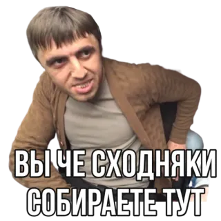 😕 ВЫ ЧЕ СХОДНЯКИ СОБИРАЕТЕ ТУТ telegram sticker