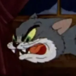 🤬 cat, angry, cartoon, feline, animal telegram sticker