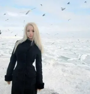 💋 woman, ice, snow, winter, birds, blonde, portrait telegram sticker