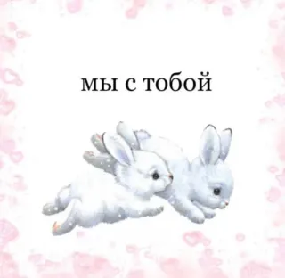 🤍 мы с тобой conigli, amore, carino, animali, romantico, insieme telegram sticker