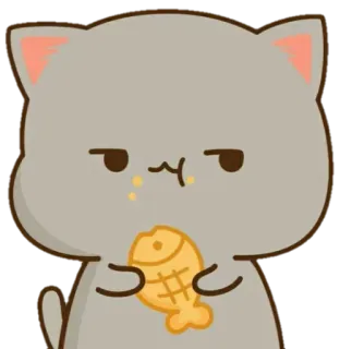 😒 gato, animal, lindo, pez, snack telegram sticker