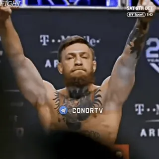 🦁 Conor McGregor @CONORTV sports, fighter, man, tattoo, boxing, celebrity telegram sticker