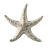 ⭐️