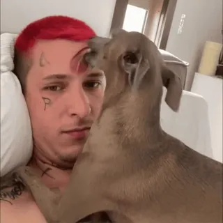 👅 uomo, cane, animale domestico, affetto, bacio, animale, tatuaggio telegram sticker