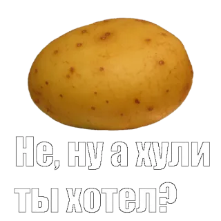 🥔 Не, ну а хули ты хотел? patata, ruso, ofensivo, comida, verdura telegram sticker
