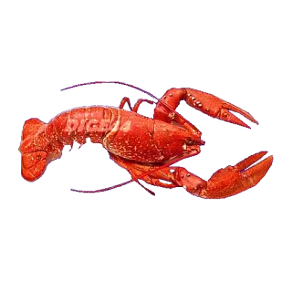 🦞 big4 lobster, seafood, food, crustacean, animal, shellfish, cooked, big4 telegram sticker