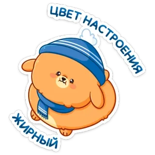 😊 ЦВЕТ НАСТРОЕНИЯ ЖИРНЫЙ 熊, 卡通, 可爱, 冬天, 贴纸, 动物 telegram sticker