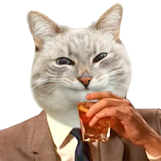 😆 cat, animal, anthropomorphic, suit, drink, alcohol telegram sticker