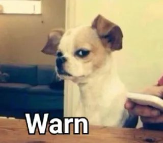 😒 Warn hond, waarschuwing, meme, grappig, dier, huisdier telegram sticker