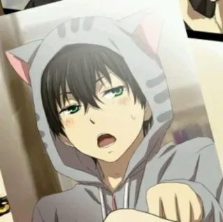 🍪 anime, boy, cat ears, hoodie, cartoon telegram sticker